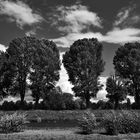 Rhine Landscape