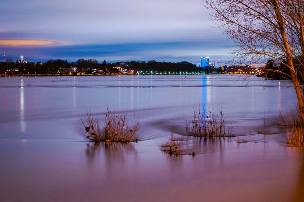 Rhine @ Night 4