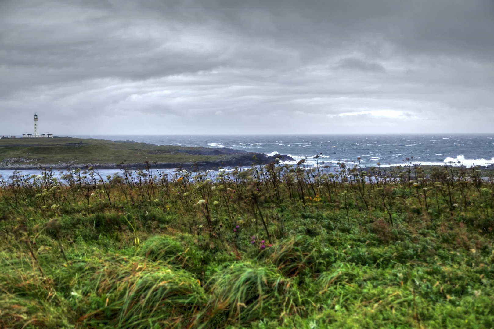 Rhinns of Islay