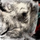 Rhino Art r