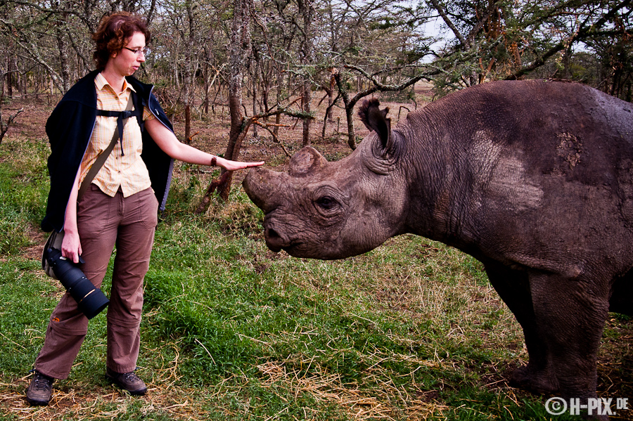 Rhinoflüsterer ...oder "wenn das 300er zu lang wird"