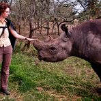 Rhinoflüsterer ...oder "wenn das 300er zu lang wird"