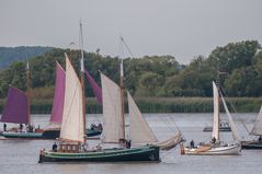 Rhinregatta-2016