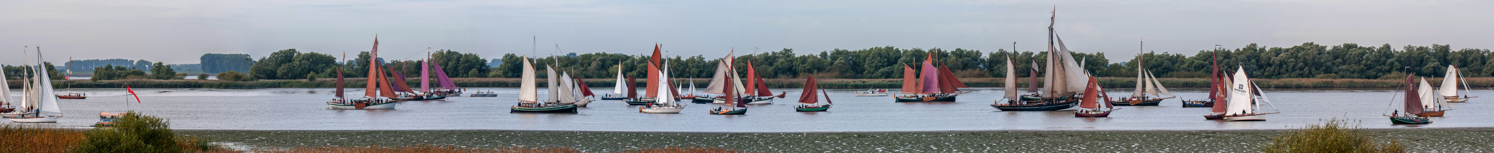 Rhinregatta 2016 in Glückstadt