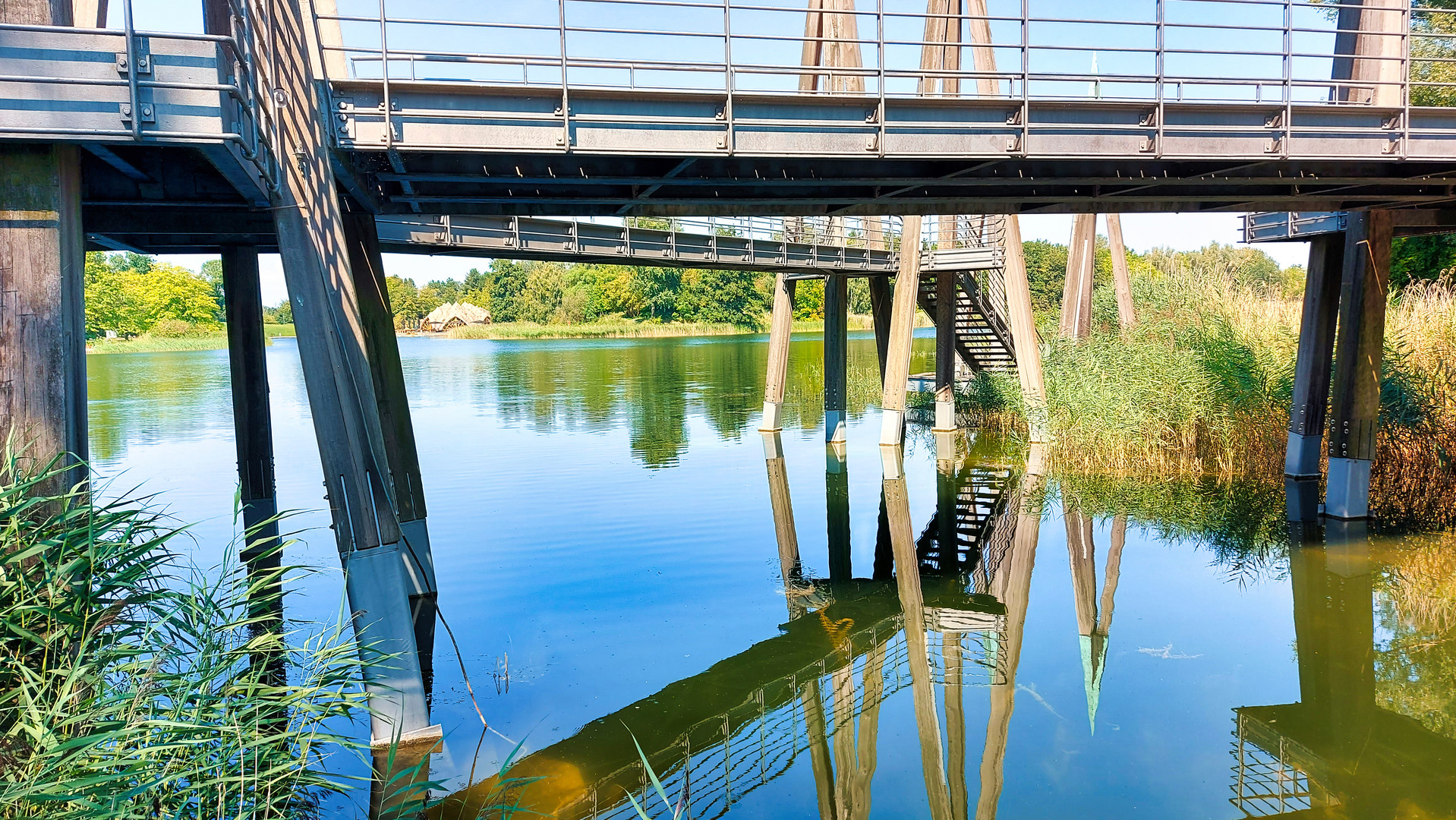 Rhizomatische Brücke