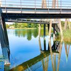 Rhizomatische Brücke