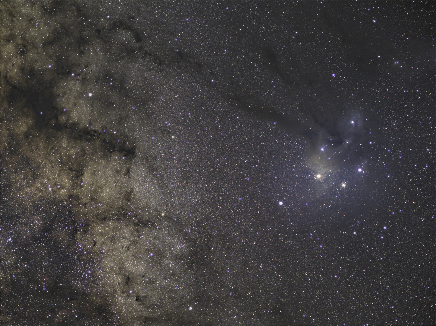 Rho Ophiuchi