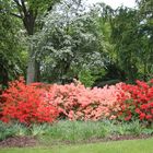 Rhodedendronpark in Bremen