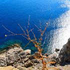 Rhodes, Lindos