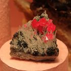 Rhodochrosite on quartz @ Mineralogische Museum Hamburg