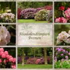 Rhododendron