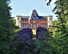 Rhododendron - Allee