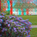 Rhododendron am Schloss (3D Ana)