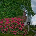 Rhododendron mit Kapelle