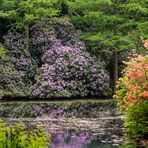 Rhododendron Park Bremen 01