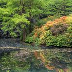 Rhododendron Park Bremen 02