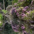 Rhododendron Park Bremen 03