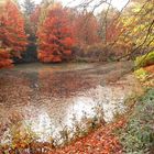 Rhododendron Park Bremen