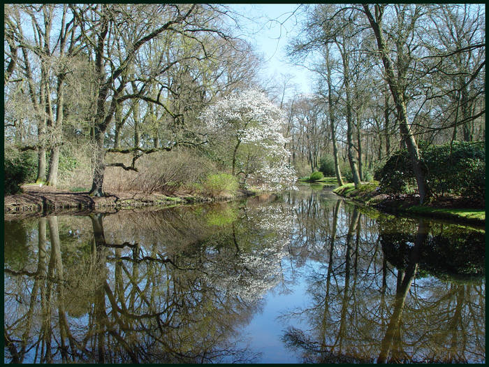 Rhododendron Park Bremen