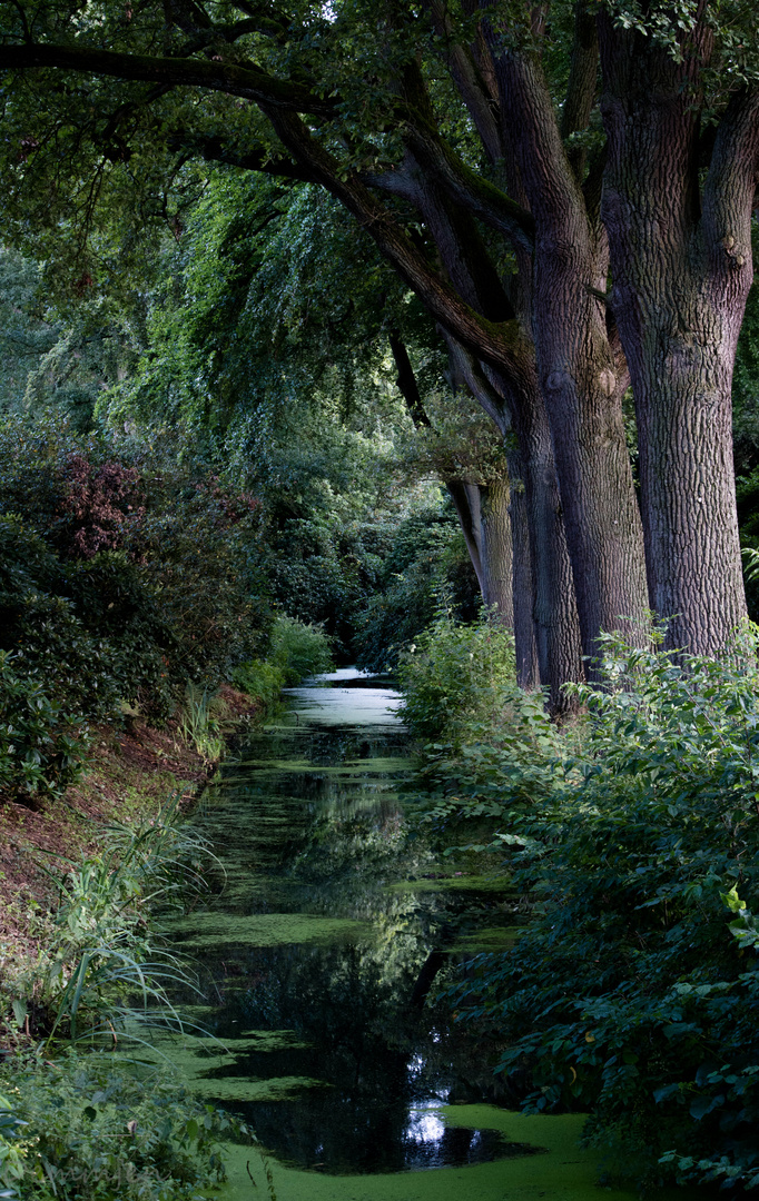 Rhododendron-Park Bremen