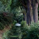 Rhododendron-Park Bremen