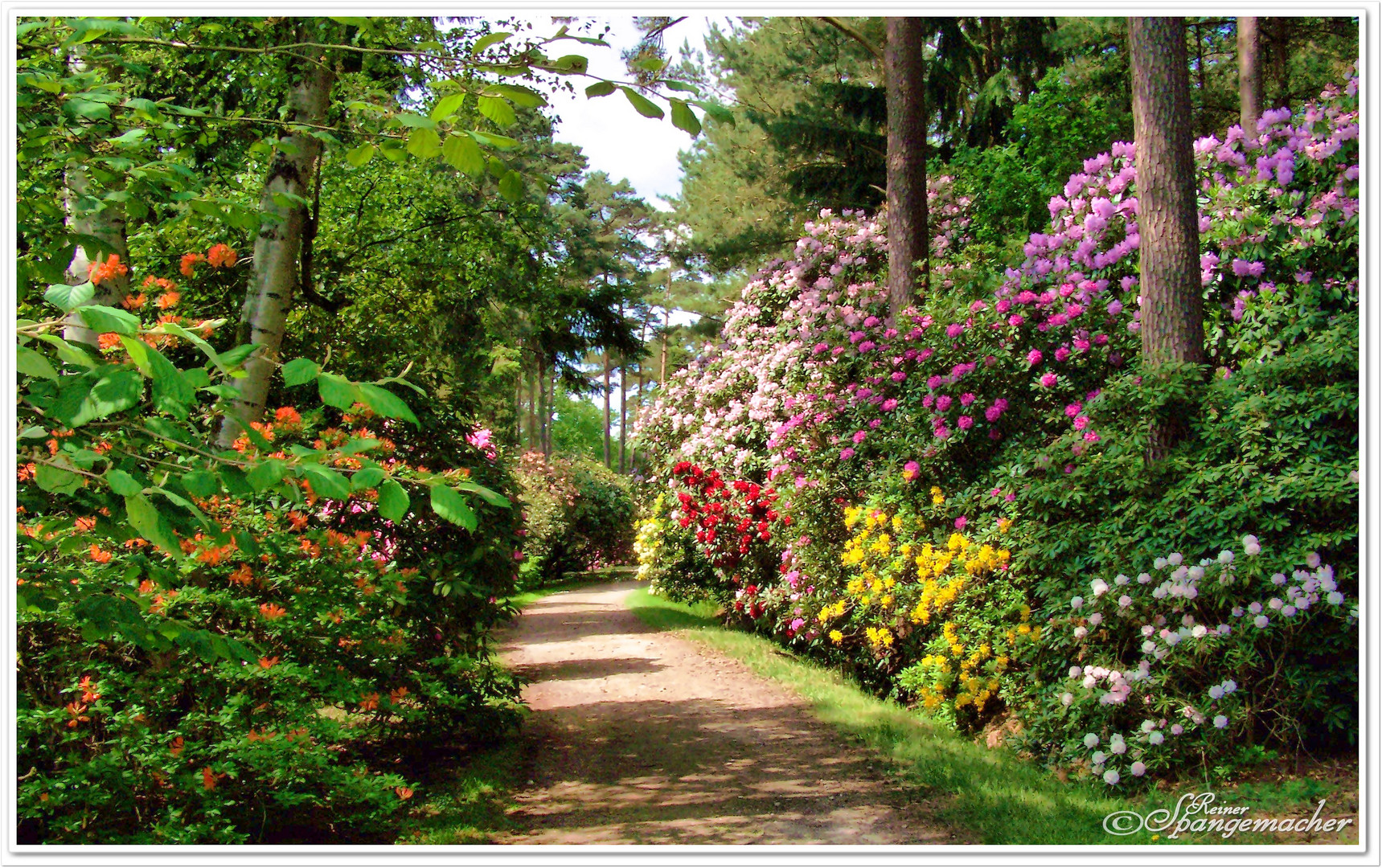 Rhododendron-Park Hobbie