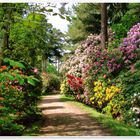 Rhododendron-Park Hobbie