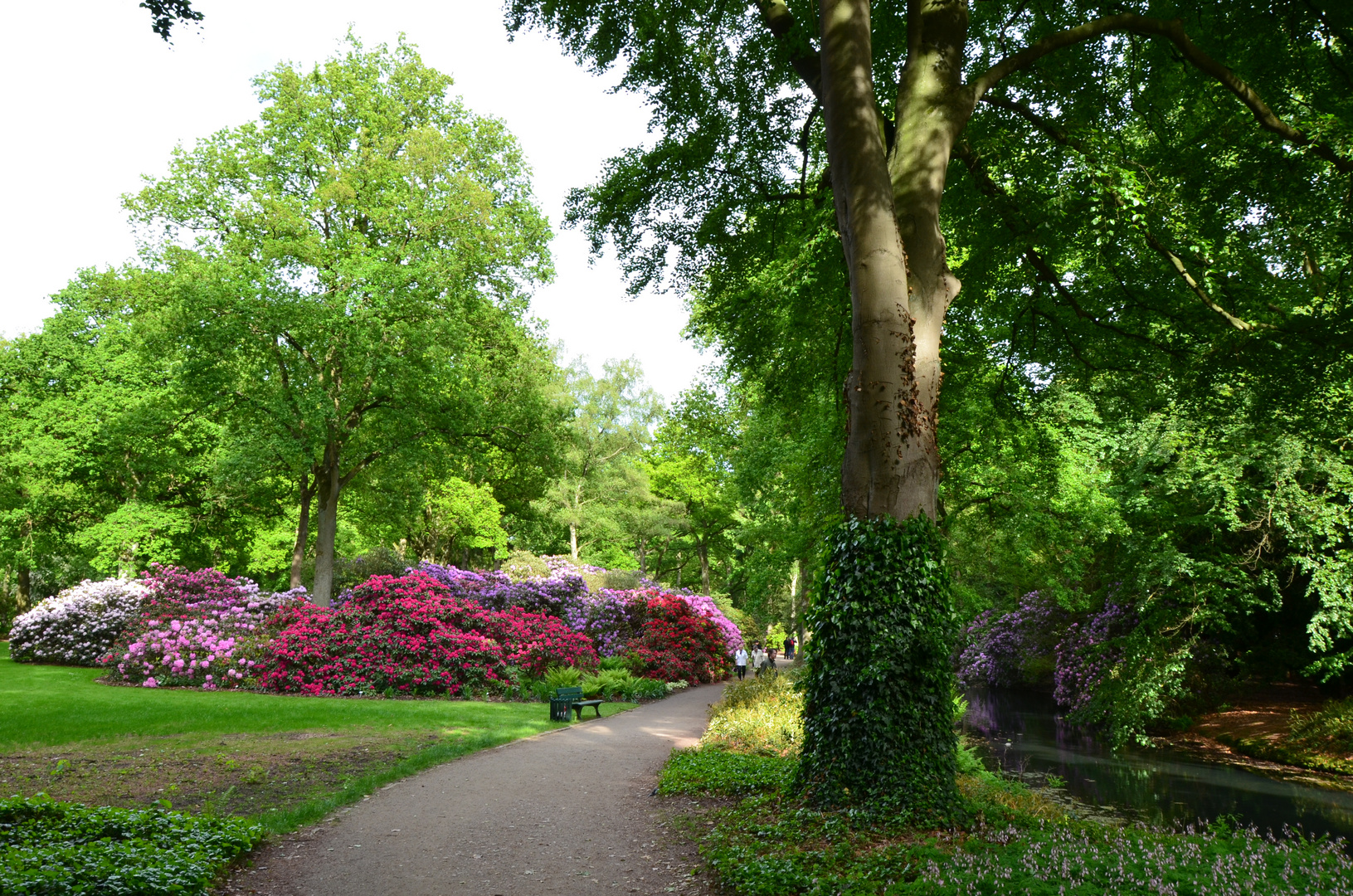 Rhododendron Park in Bremen