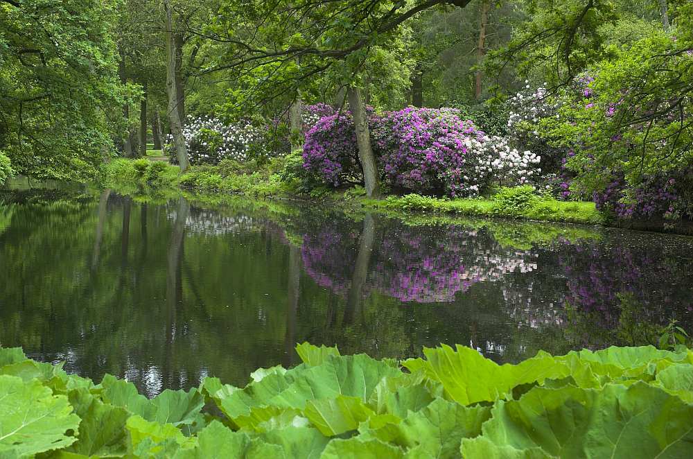 Rhododendron-Park in Bremen