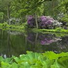 Rhododendron-Park in Bremen