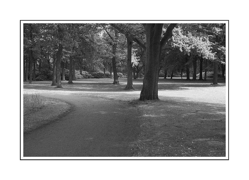 Rhododendron-Park in Bremen II