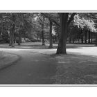 Rhododendron-Park in Bremen II