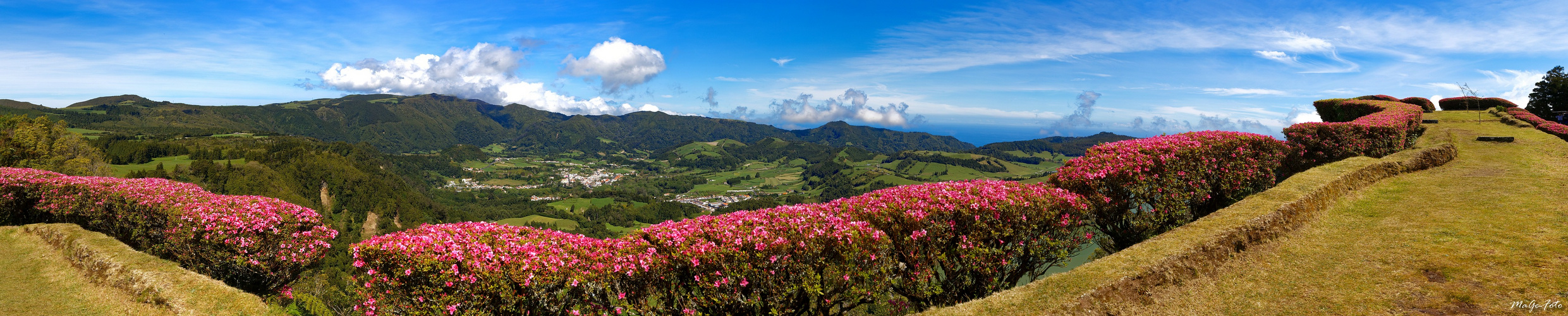 Rhododendronblick auf Furnas