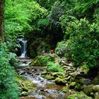 Rhododendronblüte am Geroldsauer Wasserfall