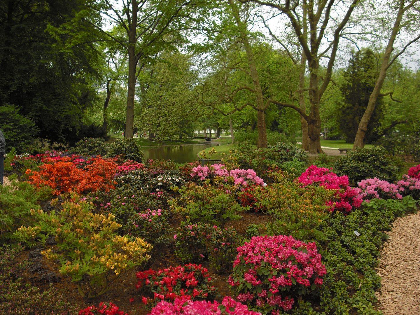 Rhododendrongarten