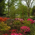 Rhododendrongarten