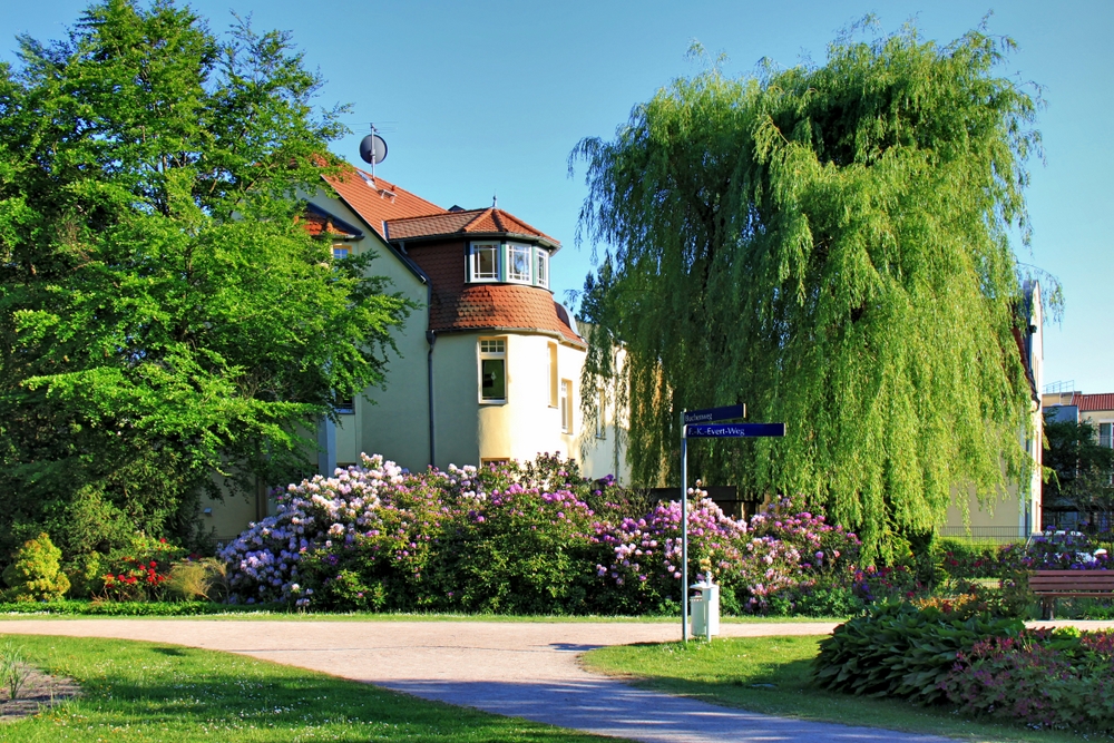 Rhododendronpark (2)