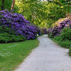 Rhododendronpark (5)