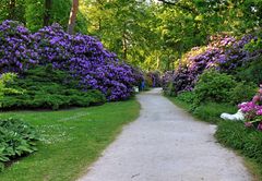 Rhododendronpark (5)