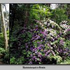 Rhododendronpark