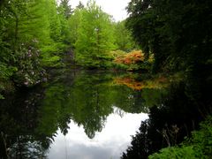 Rhododendronpark Bremen