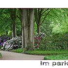 Rhododendronpark Bremen