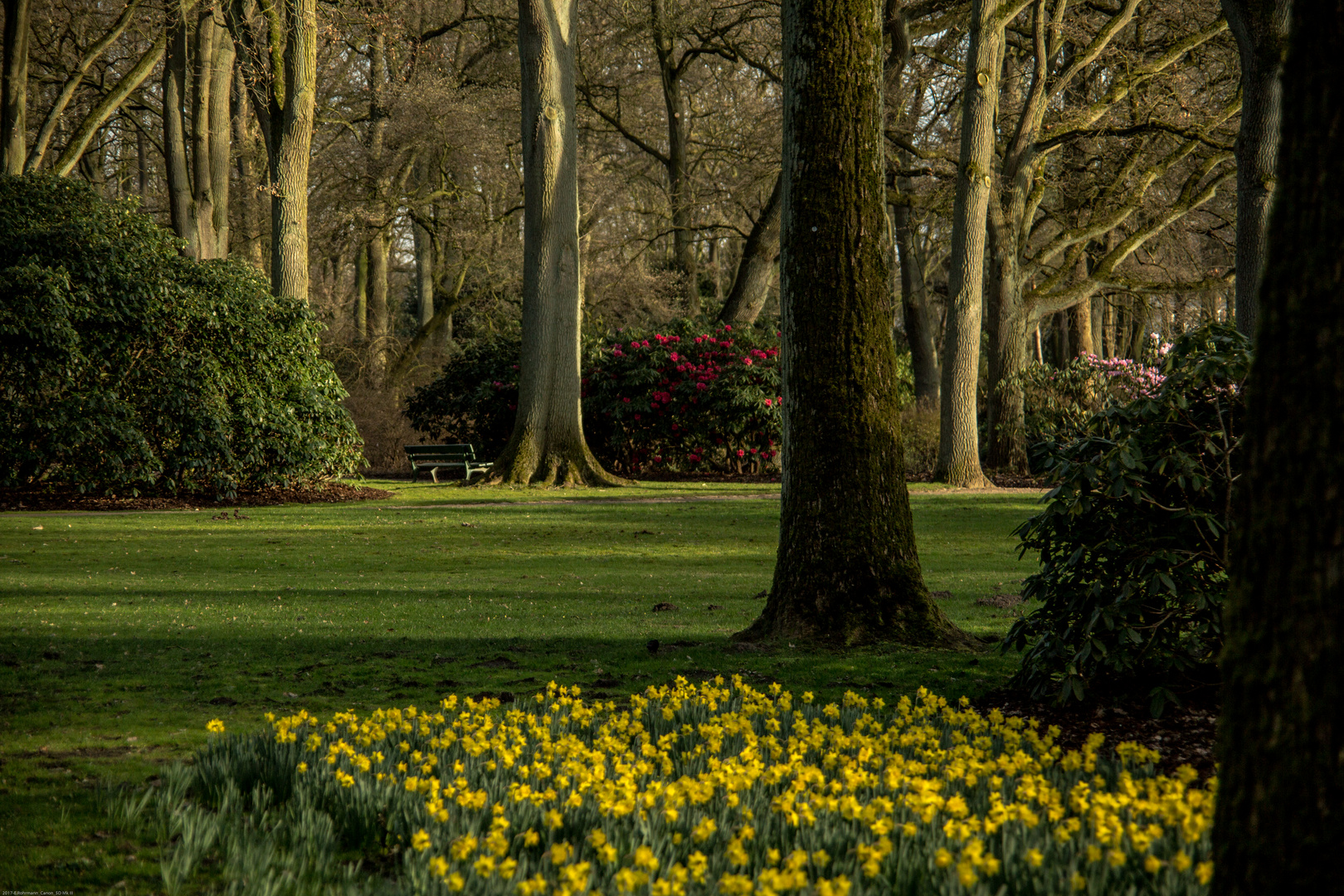 Rhododendronpark / Bremen
