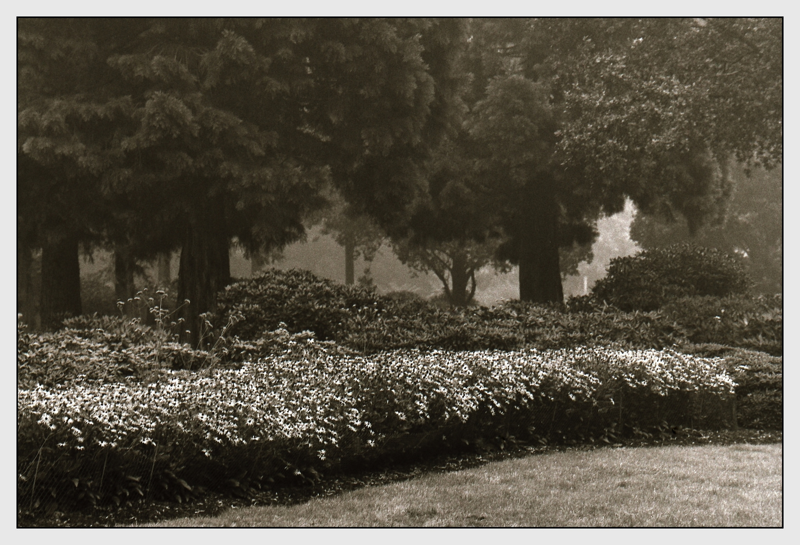 Rhododendronpark Bremen