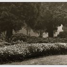 Rhododendronpark Bremen