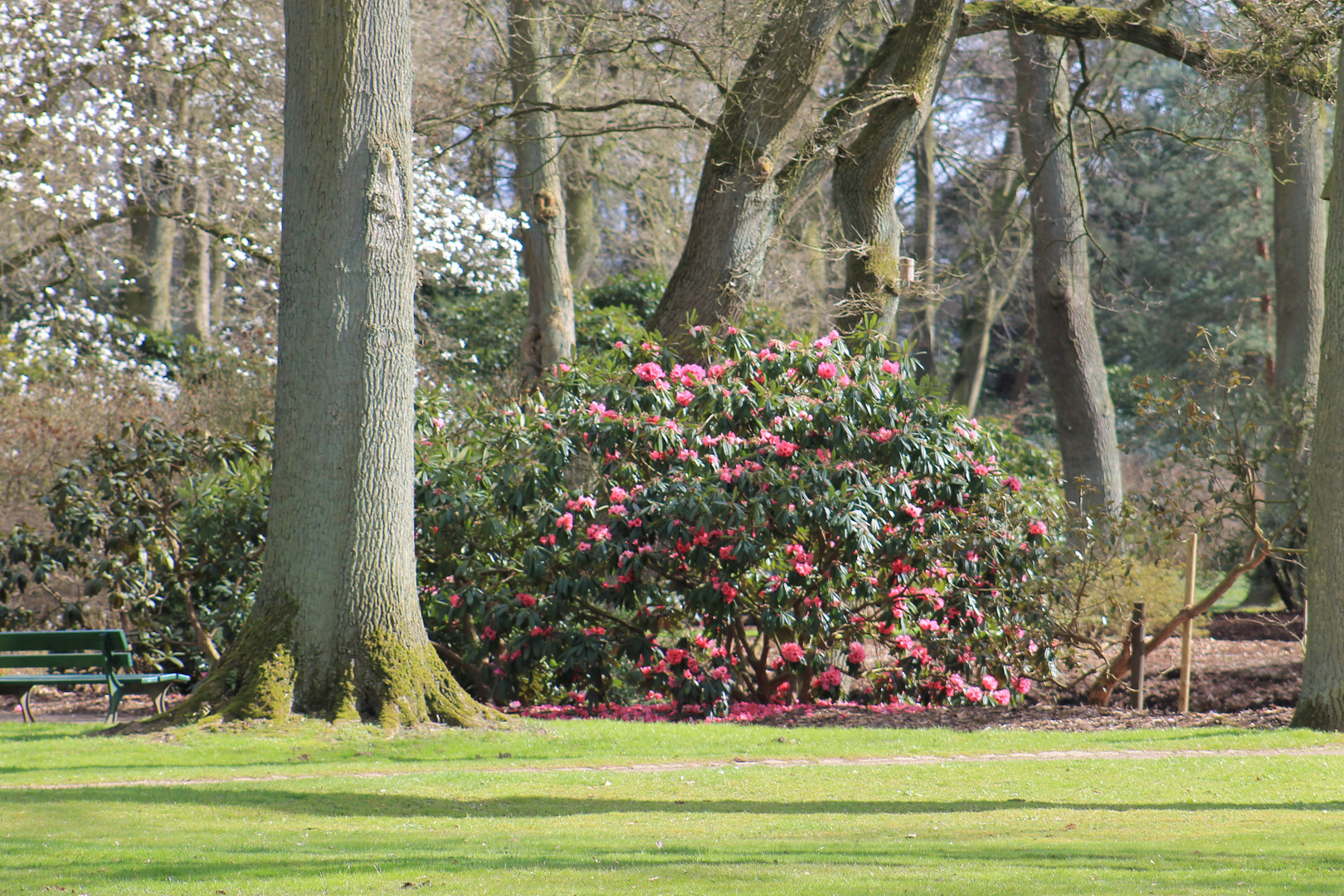 Rhododendronpark Bremen