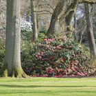 Rhododendronpark Bremen