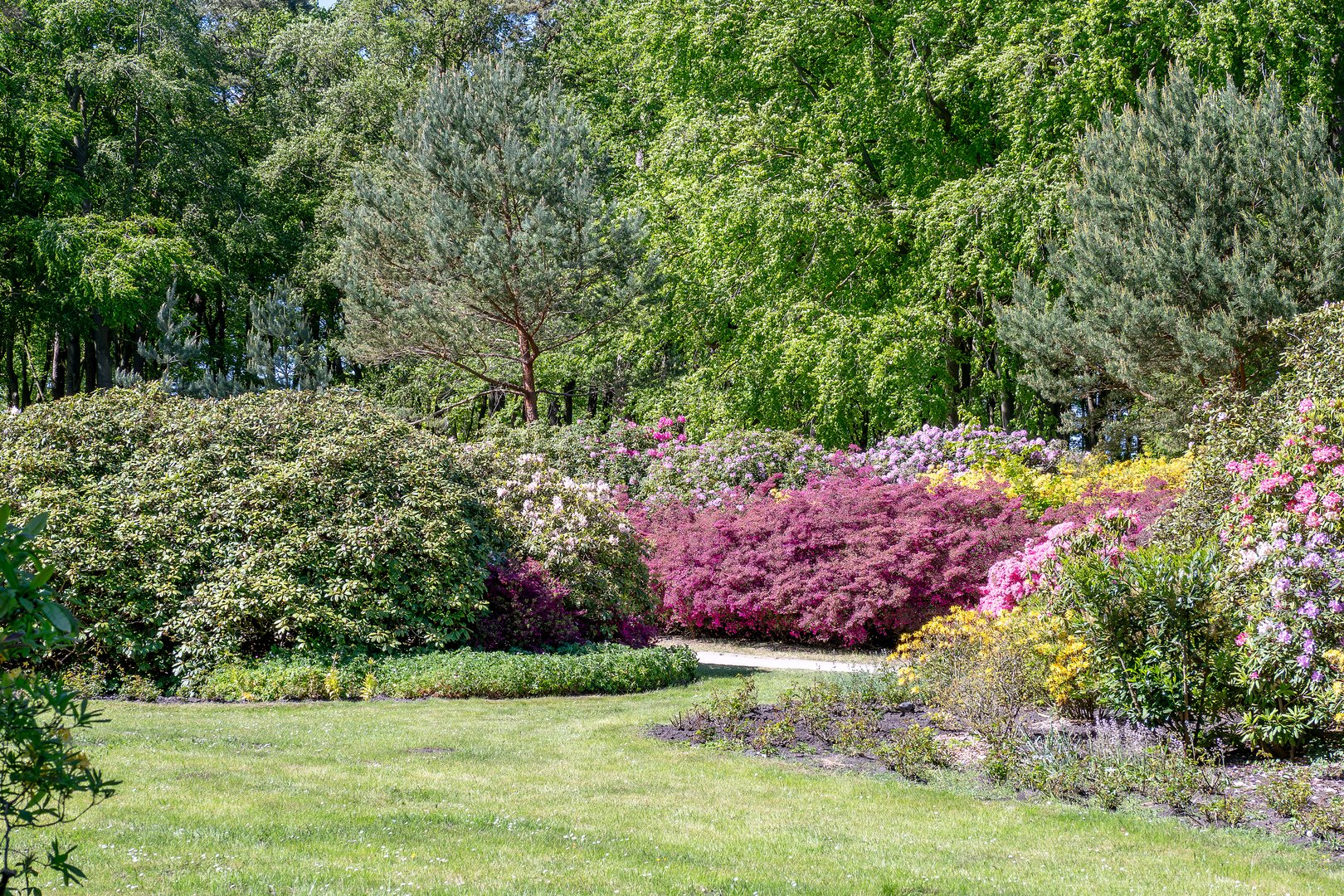 Rhododendronpark Graal-Müritz