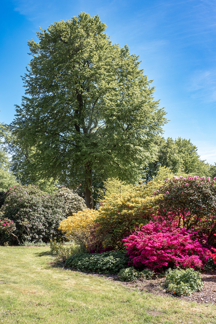 Rhododendronpark Graal-Müritz