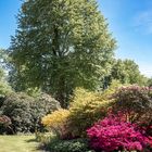 Rhododendronpark Graal-Müritz